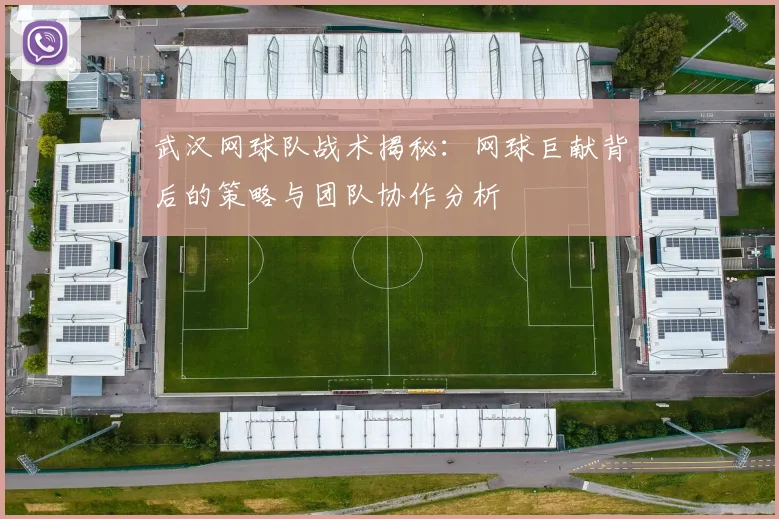 武汉网球队战术揭秘：网球巨献背后的策略与团队协作分析